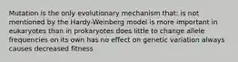 Mutation is the only evolutionary mechanism that: is not mentioned by the Hardy-Weinberg model is more important in eukaryotes than in prokaryotes does little to change allele frequencies on its own has no effect on genetic variation always causes decreased fitness