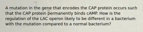 A mutation in the gene that encodes the CAP protein occurs such that the CAP protein permanently binds cAMP. How is the regulation of the LAC operon likely to be different in a bacterium with the mutation compared to a normal bacterium?