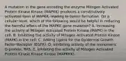 A mutation in the gene encoding the enzyme Mitogen Activated Protein Kinase Kinase (MAPKK) produces a constitutively activated form of MAPKK, leading to tumor formation. On a cellular level, which of the following would be helpful in reducing the harmful effect of the MAPKK gene mutation? A. Increasing the activity of Mitogen Activated Protein Kinase (MAPK) in the cell. B. Inhibiting the activity of Mitogen Activated Protein Kinase (MAPK) in the cell. C. Adding ligand for the Epidermal Growth Factor Receptor (EGFR). D. Inhibiting activity of the monomeric G-protein, RAS. E. Inhibiting the activity of Mitogen Activated Protein Kinase Kinase Kinase (MAPKKK).