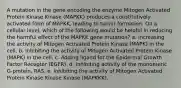 A mutation in the gene encoding the enzyme Mitogen Activated Protein Kinase Kinase (MAPKK) produces a constitutively activated form of MAPKK, leading to tumor formation. On a cellular level, which of the following would be helpful in reducing the harmful effect of the MAPKK gene mutation? a. Increasing the activity of Mitogen Activated Protein Kinase (MAPK) in the cell. b. Inhibiting the activity of Mitogen Activated Protein Kinase (MAPK) in the cell. c. Adding ligand for the Epidermal Growth Factor Receptor (EGFR). d. Inhibiting activity of the monomeric G-protein, RAS. e. Inhibiting the activity of Mitogen Activated Protein Kinase Kinase Kinase (MAPKKK).