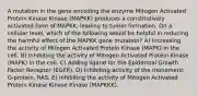 A mutation in the gene encoding the enzyme Mitogen Activated Protein Kinase Kinase (MAPKK) produces a constitutively activated form of MAPKK, leading to tumor formation. On a cellular level, which of the following would be helpful in reducing the harmful effect of the MAPKK gene mutation? A) Increasing the activity of Mitogen Activated Protein Kinase (MAPK) in the cell. B) Inhibiting the activity of Mitogen Activated Protein Kinase (MAPK) in the cell. C) Adding ligand for the Epidermal Growth Factor Receptor (EGFR). D) Inhibiting activity of the monomeric G-protein, RAS. E) Inhibiting the activity of Mitogen Activated Protein Kinase Kinase Kinase (MAPKKK).