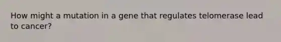 How might a mutation in a gene that regulates telomerase lead to cancer?