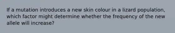 If a mutation introduces a new skin colour in a lizard population, which factor might determine whether the frequency of the new allele will increase?