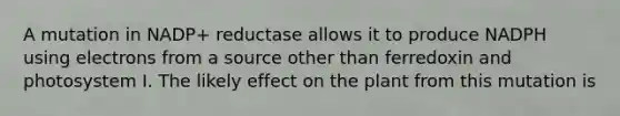 A mutation in NADP+ reductase allows it to produce NADPH using electrons from a source other than ferredoxin and photosystem I. The likely effect on the plant from this mutation is