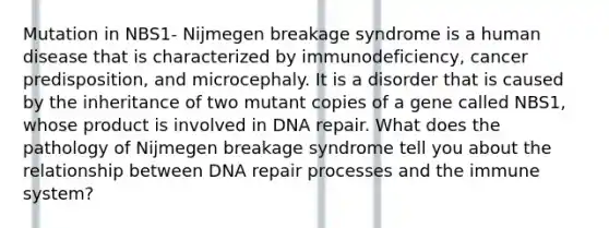 Mutation in NBS1- Nijmegen breakage syndrome is a human disease that is characterized by immunodeficiency, cancer predisposition, and microcephaly. It is a disorder that is caused by the inheritance of two mutant copies of a gene called NBS1, whose product is involved in DNA repair. What does the pathology of Nijmegen breakage syndrome tell you about the relationship between DNA repair processes and the immune system?