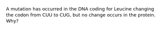 A mutation has occurred in the DNA coding for Leucine changing the codon from CUU to CUG, but no change occurs in the protein. Why?