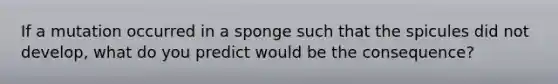 If a mutation occurred in a sponge such that the spicules did not develop, what do you predict would be the consequence?