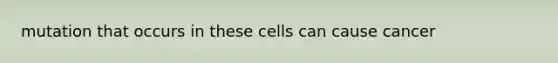 mutation that occurs in these cells can cause cancer