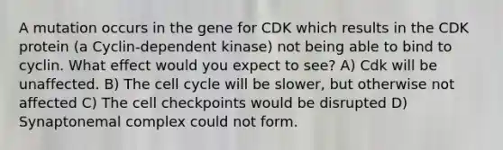 A mutation occurs in the gene for CDK which results in the CDK protein (a Cyclin-dependent kinase) not being able to bind to cyclin. What effect would you expect to see? A) Cdk will be unaffected. B) The cell cycle will be slower, but otherwise not affected C) The cell checkpoints would be disrupted D) Synaptonemal complex could not form.