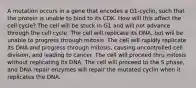 A mutation occurs in a gene that encodes a G1-cyclin, such that the protein is unable to bind to its CDK. How will this affect the cell cycle? The cell will be stuck in G1 and will not advance through the cell cycle. The cell will replicate its DNA, but will be unable to progress through mitosis. The cell will rapidly replicate its DNA and progress through mitosis, causing uncontrolled cell division, and leading to cancer. The cell will proceed thru mitosis without replicating its DNA. The cell will proceed to the S phase, and DNA repair enzymes will repair the mutated cyclin when it replicates the DNA.