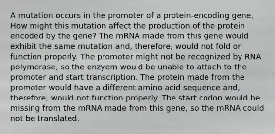 A mutation occurs in the promoter of a protein-encoding gene. How might this mutation affect the production of the protein encoded by the gene? The mRNA made from this gene would exhibit the same mutation and, therefore, would not fold or function properly. The promoter might not be recognized by RNA polymerase, so the enzyem would be unable to attach to the promoter and start transcription. The protein made from the promoter would have a different amino acid sequence and, therefore, would not function properly. The start codon would be missing from the mRNA made from this gene, so the mRNA could not be translated.