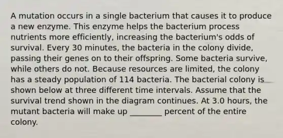 A mutation occurs in a single bacterium that causes it to produce a new enzyme. This enzyme helps the bacterium process nutrients more efficiently, increasing the bacterium's odds of survival. Every 30 minutes, the bacteria in the colony divide, passing their genes on to their offspring. Some bacteria survive, while others do not. Because resources are limited, the colony has a steady population of 114 bacteria. The bacterial colony is shown below at three different time intervals. Assume that the survival trend shown in the diagram continues. At 3.0 hours, the mutant bacteria will make up ________ percent of the entire colony.