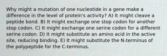 Why might a mutation of one nucleotide in a gene make a difference in the level of protein's activity? A) It might cleave a peptide bond. B) It might exchange one stop codon for another stop codon. C) It might exchange one serine codon for a different serine codon. D) It might substitute an amino acid in the active site, reducing binding. E) It might substitute the N-terminus of the polypeptide for the C-terminus.