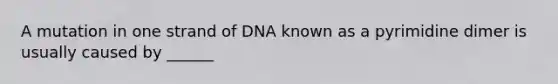 A mutation in one strand of DNA known as a pyrimidine dimer is usually caused by ______