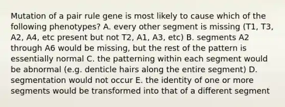 Mutation of a pair rule gene is most likely to cause which of the following phenotypes? A. every other segment is missing (T1, T3, A2, A4, etc present but not T2, A1, A3, etc) B. segments A2 through A6 would be missing, but the rest of the pattern is essentially normal C. the patterning within each segment would be abnormal (e.g. denticle hairs along the entire segment) D. segmentation would not occur E. the identity of one or more segments would be transformed into that of a different segment