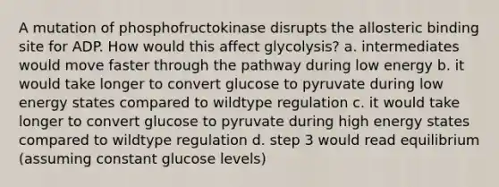 A mutation of phosphofructokinase disrupts the allosteric binding site for ADP. How would this affect glycolysis? a. intermediates would move faster through the pathway during low energy b. it would take longer to convert glucose to pyruvate during low energy states compared to wildtype regulation c. it would take longer to convert glucose to pyruvate during high energy states compared to wildtype regulation d. step 3 would read equilibrium (assuming constant glucose levels)