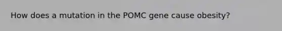 How does a mutation in the POMC gene cause obesity?