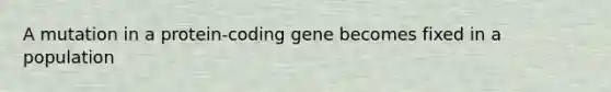 A mutation in a protein-coding gene becomes fixed in a population