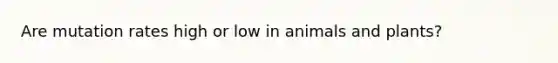 Are mutation rates high or low in animals and plants?