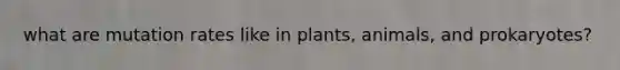 what are mutation rates like in plants, animals, and prokaryotes?