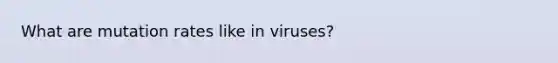 What are mutation rates like in viruses?