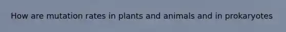 How are mutation rates in plants and animals and in prokaryotes