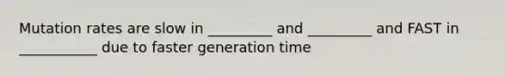 Mutation rates are slow in _________ and _________ and FAST in ___________ due to faster generation time