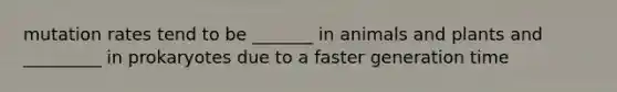 mutation rates tend to be _______ in animals and plants and _________ in prokaryotes due to a faster generation time