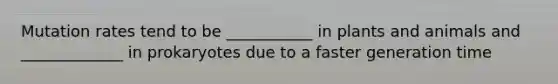 Mutation rates tend to be ___________ in plants and animals and _____________ in prokaryotes due to a faster generation time