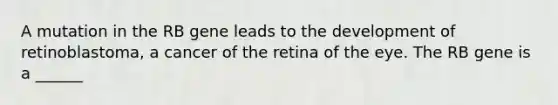 A mutation in the RB gene leads to the development of retinoblastoma, a cancer of the retina of the eye. The RB gene is a ______