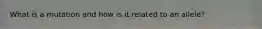 What is a mutation and how is it related to an allele?