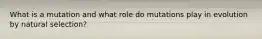 What is a mutation and what role do mutations play in evolution by natural selection?