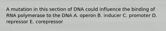 A mutation in this section of DNA could influence the binding of RNA polymerase to the DNA A. operon B. inducer C. promoter D. repressor E. corepressor