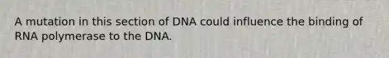 A mutation in this section of DNA could influence the binding of RNA polymerase to the DNA.