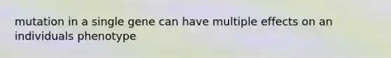 mutation in a single gene can have multiple effects on an individuals phenotype