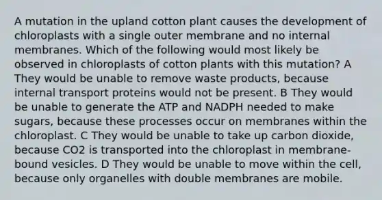 A mutation in the upland cotton plant causes the development of chloroplasts with a single outer membrane and no internal membranes. Which of the following would most likely be observed in chloroplasts of cotton plants with this mutation? A They would be unable to remove waste products, because internal transport proteins would not be present. B They would be unable to generate the ATP and NADPH needed to make sugars, because these processes occur on membranes within the chloroplast. C They would be unable to take up carbon dioxide, because CO2 is transported into the chloroplast in membrane-bound vesicles. D They would be unable to move within the cell, because only organelles with double membranes are mobile.