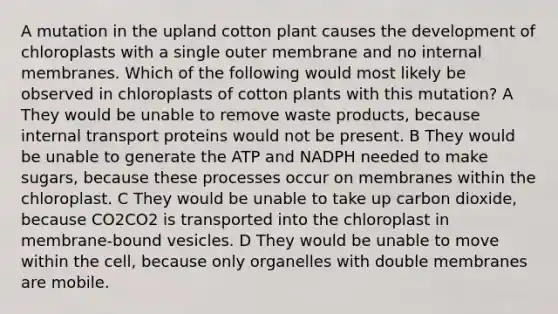 A mutation in the upland cotton plant causes the development of chloroplasts with a single outer membrane and no internal membranes. Which of the following would most likely be observed in chloroplasts of cotton plants with this mutation? A They would be unable to remove waste products, because internal transport proteins would not be present. B They would be unable to generate the ATP and NADPH needed to make sugars, because these processes occur on membranes within the chloroplast. C They would be unable to take up carbon dioxide, because CO2CO2 is transported into the chloroplast in membrane-bound vesicles. D They would be unable to move within the cell, because only organelles with double membranes are mobile.