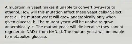 A mutation in yeast makes it unable to convert pyruvate to ethanol. How will this mutation affect these yeast cells? Select one: a. The mutant yeast will grow anaerobically only when given glucose. b. The mutant yeast will be unable to grow anaerobically. c. The mutant yeast will die because they cannot regenerate NAD+ from NAD. d. The mutant yeast will be unable to metabolize glucose.