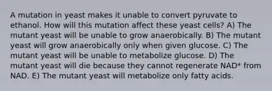 A mutation in yeast makes it unable to convert pyruvate to ethanol. How will this mutation affect these yeast cells? A) The mutant yeast will be unable to grow anaerobically. B) The mutant yeast will grow anaerobically only when given glucose. C) The mutant yeast will be unable to metabolize glucose. D) The mutant yeast will die because they cannot regenerate NAD* from NAD. E) The mutant yeast will metabolize only fatty acids.