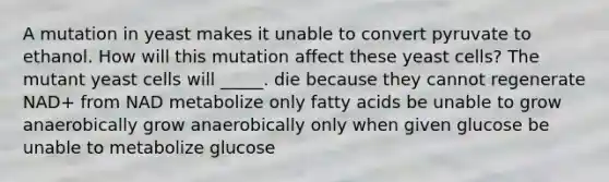 A mutation in yeast makes it unable to convert pyruvate to ethanol. How will this mutation affect these yeast cells? The mutant yeast cells will _____. die because they cannot regenerate NAD+ from NAD metabolize only fatty acids be unable to grow anaerobically grow anaerobically only when given glucose be unable to metabolize glucose