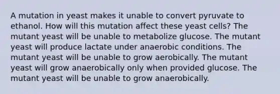 A mutation in yeast makes it unable to convert pyruvate to ethanol. How will this mutation affect these yeast cells? The mutant yeast will be unable to metabolize glucose. The mutant yeast will produce lactate under anaerobic conditions. The mutant yeast will be unable to grow aerobically. The mutant yeast will grow anaerobically only when provided glucose. The mutant yeast will be unable to grow anaerobically.