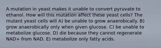 A mutation in yeast makes it unable to convert pyruvate to ethanol. How will this mutation affect these yeast cells? The mutant yeast cells will A) be unable to grow anaerobically. B) grow anaerobically only when given glucose. C) be unable to metabolize glucose. D) die because they cannot regenerate NAD+ from NAD. E) metabolize only fatty acids.