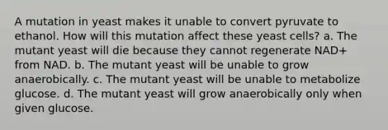 A mutation in yeast makes it unable to convert pyruvate to ethanol. How will this mutation affect these yeast cells? a. The mutant yeast will die because they cannot regenerate NAD+ from NAD. b. The mutant yeast will be unable to grow anaerobically. c. The mutant yeast will be unable to metabolize glucose. d. The mutant yeast will grow anaerobically only when given glucose.