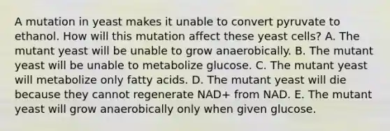 A mutation in yeast makes it unable to convert pyruvate to ethanol. How will this mutation affect these yeast cells? A. The mutant yeast will be unable to grow anaerobically. B. The mutant yeast will be unable to metabolize glucose. C. The mutant yeast will metabolize only fatty acids. D. The mutant yeast will die because they cannot regenerate NAD+ from NAD. E. The mutant yeast will grow anaerobically only when given glucose.