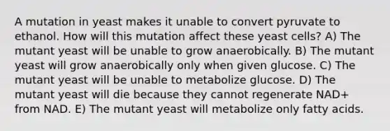 A mutation in yeast makes it unable to convert pyruvate to ethanol. How will this mutation affect these yeast cells? A) The mutant yeast will be unable to grow anaerobically. B) The mutant yeast will grow anaerobically only when given glucose. C) The mutant yeast will be unable to metabolize glucose. D) The mutant yeast will die because they cannot regenerate NAD+ from NAD. E) The mutant yeast will metabolize only fatty acids.