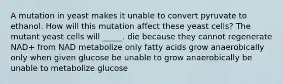 A mutation in yeast makes it unable to convert pyruvate to ethanol. How will this mutation affect these yeast cells? The mutant yeast cells will _____. die because they cannot regenerate NAD+ from NAD metabolize only fatty acids grow anaerobically only when given glucose be unable to grow anaerobically be unable to metabolize glucose