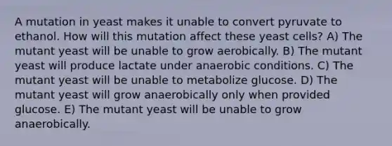 A mutation in yeast makes it unable to convert pyruvate to ethanol. How will this mutation affect these yeast cells? A) The mutant yeast will be unable to grow aerobically. B) The mutant yeast will produce lactate under anaerobic conditions. C) The mutant yeast will be unable to metabolize glucose. D) The mutant yeast will grow anaerobically only when provided glucose. E) The mutant yeast will be unable to grow anaerobically.