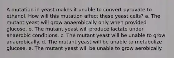 A mutation in yeast makes it unable to convert pyruvate to ethanol. How will this mutation affect these yeast cells? a. The mutant yeast will grow anaerobically only when provided glucose. b. The mutant yeast will produce lactate under anaerobic conditions. c. The mutant yeast will be unable to grow anaerobically. d. The mutant yeast will be unable to metabolize glucose. e. The mutant yeast will be unable to grow aerobically.