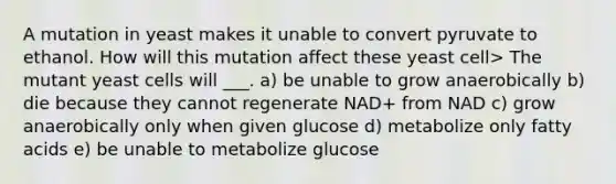 A mutation in yeast makes it unable to convert pyruvate to ethanol. How will this mutation affect these yeast cell> The mutant yeast cells will ___. a) be unable to grow anaerobically b) die because they cannot regenerate NAD+ from NAD c) grow anaerobically only when given glucose d) metabolize only fatty acids e) be unable to metabolize glucose