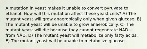 A mutation in yeast makes it unable to convert pyruvate to ethanol. How will this mutation affect these yeast cells? A) The mutant yeast will grow anaerobically only when given glucose. B) The mutant yeast will be unable to grow anaerobically. C) The mutant yeast will die because they cannot regenerate NAD+ from NAD. D) The mutant yeast will metabolize only fatty acids. E) The mutant yeast will be unable to metabolize glucose.